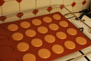 Brown-colored shells with added cocoa powder